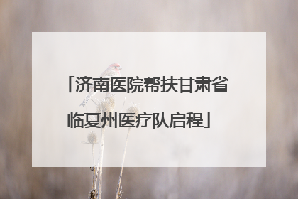 济南医院帮扶甘肃省临夏州医疗队启程