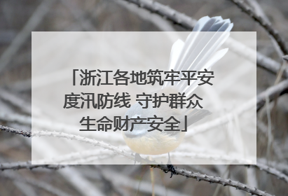 浙江各地筑牢平安度汛防线 守护群众生命财产安全