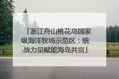 浙江舟山桃花岛国家级海洋牧场示范区：统战力量赋能海岛共富