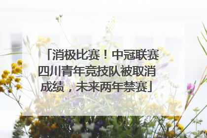 消极比赛！中冠联赛四川青年竞技队被取消成绩，未来两年禁赛