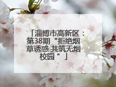 淄博市高新区：第38期“拒绝烟草诱惑 共筑无烟校园 ”