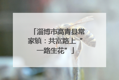 淄博市高青县常家镇：共富路上“一路生花”