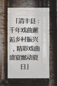 清丰县：千年戏曲邂逅乡村振兴，精彩戏曲盛宴燃动夏日