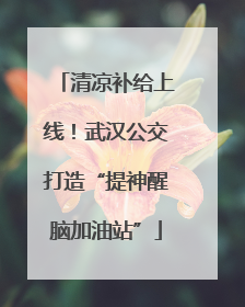 清凉补给上线！武汉公交打造“提神醒脑加油站”