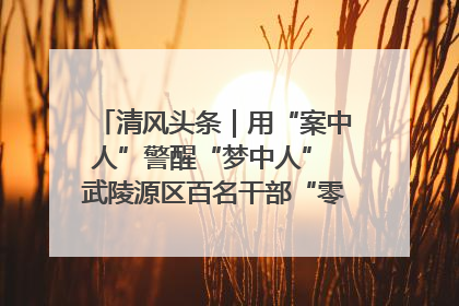 清风头条｜用“案中人”警醒“梦中人” 武陵源区百名干部“零距离”接受警示教育