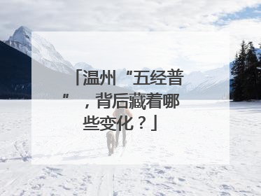 温州“五经普”，背后藏着哪些变化？