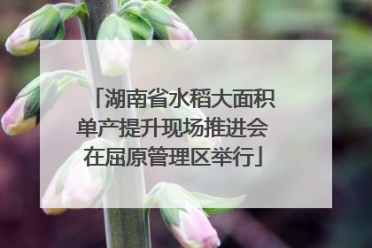 湖南省水稻大面积单产提升现场推进会在屈原管理区举行