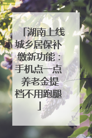 湖南上线城乡居保补缴新功能：手机点一点 养老金提档不用跑腿