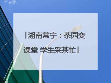 湖南常宁：茶园变课堂 学生采茶忙