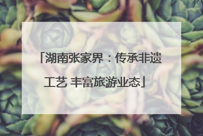 湖南张家界：传承非遗工艺 丰富旅游业态