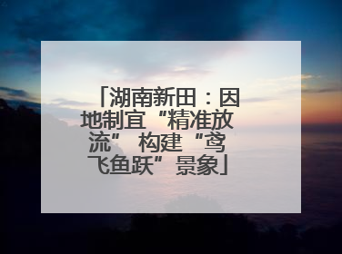 湖南新田：因地制宜“精准放流” 构建“鸢飞鱼跃”景象
