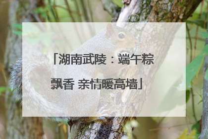 湖南武陵：端午粽飘香 亲情暖高墙