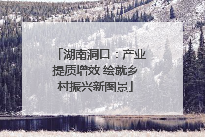 湖南洞口：产业提质增效 绘就乡村振兴新图景