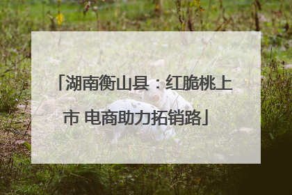 湖南衡山县：红脆桃上市 电商助力拓销路