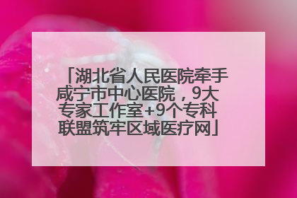 湖北省人民医院牵手咸宁市中心医院，9大专家工作室+9个专科联盟筑牢区域医疗网