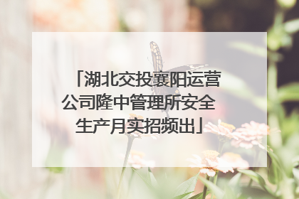 湖北交投襄阳运营公司隆中管理所安全生产月实招频出