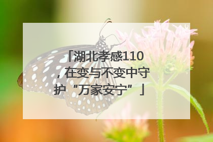 湖北孝感110，在变与不变中守护“万家安宁”