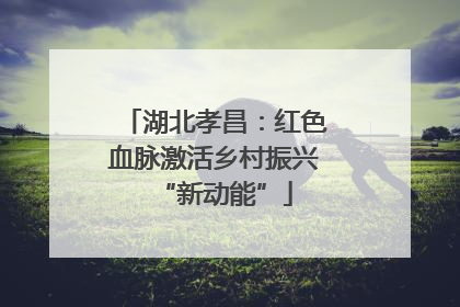 湖北孝昌：红色血脉激活乡村振兴“新动能”