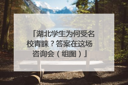 湖北学生为何受名校青睐？答案在这场咨询会（组图）