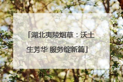 湖北夷陵烟草：沃土生芳华 服务绽新篇