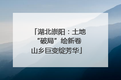 湖北崇阳：土地“破局”绘新卷 山乡巨变绽芳华