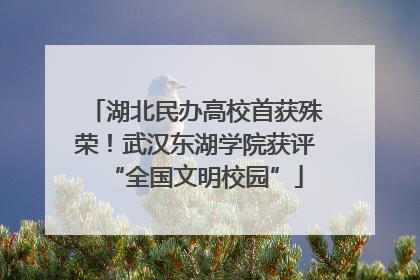 湖北民办高校首获殊荣！武汉东湖学院获评“全国文明校园”