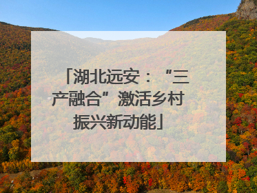 湖北远安：“三产融合”激活乡村振兴新动能