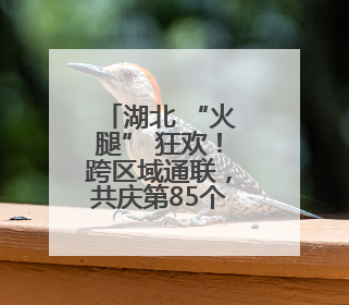 湖北 “火腿” 狂欢！跨区域通联，共庆第85个中国业余无线电节