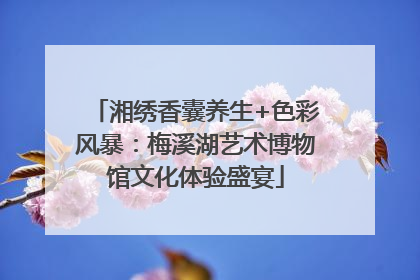 湘绣香囊养生+色彩风暴：梅溪湖艺术博物馆文化体验盛宴