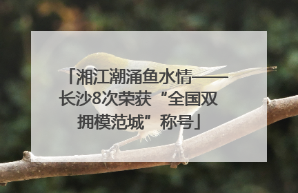湘江潮涌鱼水情——长沙8次荣获“全国双拥模范城”称号