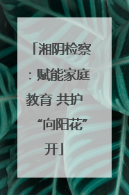 湘阴检察：赋能家庭教育 共护“向阳花”开