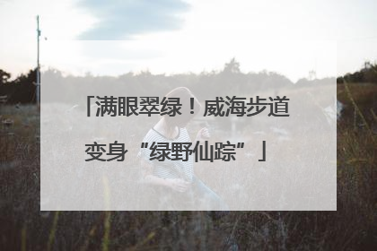 满眼翠绿！威海步道变身“绿野仙踪”
