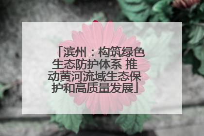 滨州：构筑绿色生态防护体系 推动黄河流域生态保护和高质量发展