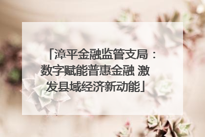 漳平金融监管支局：数字赋能普惠金融 激发县域经济新动能