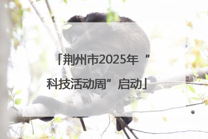 荆州市2025年“科技活动周”启动