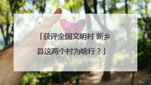 获评全国文明村 新乡县这两个村为啥行？
