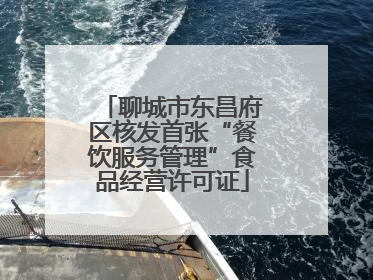 聊城市东昌府区核发首张“餐饮服务管理”食品经营许可证