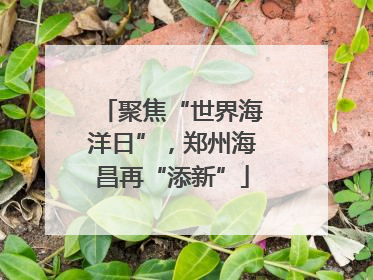聚焦“世界海洋日”，郑州海昌再“添新”