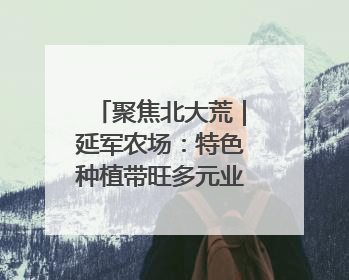 聚焦北大荒｜延军农场：特色种植带旺多元业态 土地焕发新活力