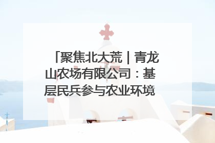 聚焦北大荒｜青龙山农场有限公司：基层民兵参与农业环境综合治理显效