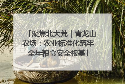 聚焦北大荒｜青龙山农场：农业标准化筑牢全年粮食安全根基