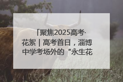 聚焦2025高考·花絮｜高考首日，淄博中学考场外的“永生花”传递温暖与祝福