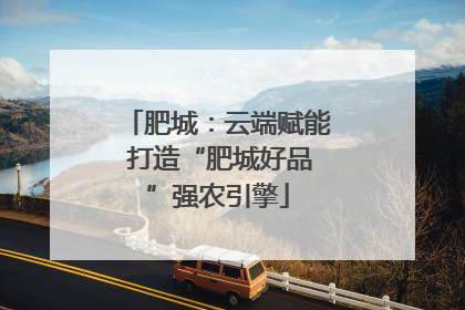 肥城：云端赋能 打造“肥城好品”强农引擎