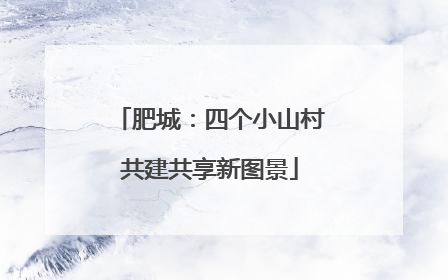 肥城：四个小山村共建共享新图景