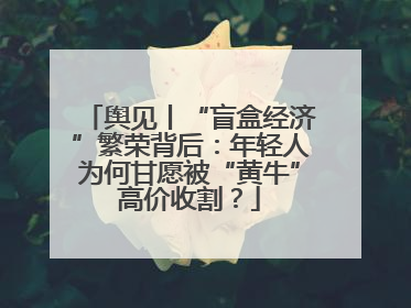 舆见丨“盲盒经济”繁荣背后：年轻人为何甘愿被“黄牛”高价收割？