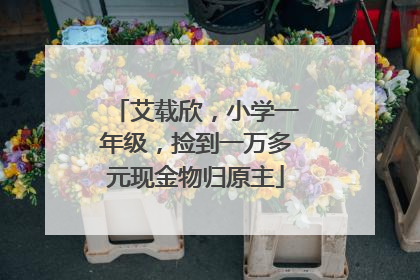 艾载欣，小学一年级，捡到一万多元现金物归原主