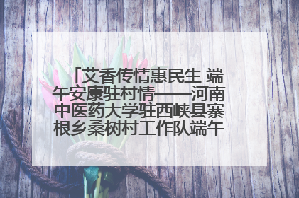 艾香传情惠民生 端午安康驻村情——河南中医药大学驻西峡县寨根乡桑树村工作队端午中医惠民记