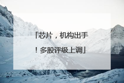 芯片，机构出手！多股评级上调