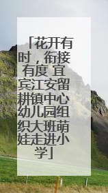 花开有时，衔接有度 宜宾江安留耕镇中心幼儿园组织大班萌娃走进小学