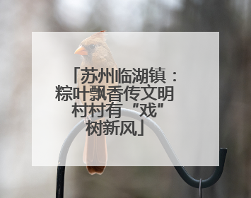 苏州临湖镇：粽叶飘香传文明 村村有“戏”树新风